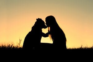 Woman with dog in sunset - Professional Dog Trainer