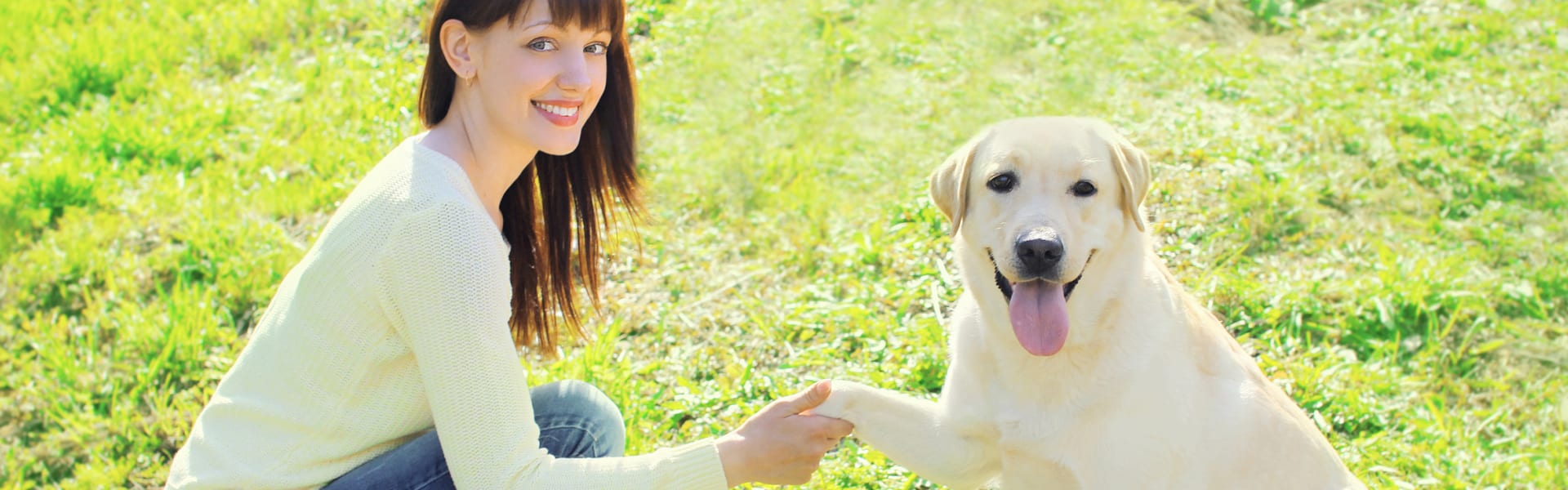 Woman and dog - Positive reinforcement dog training