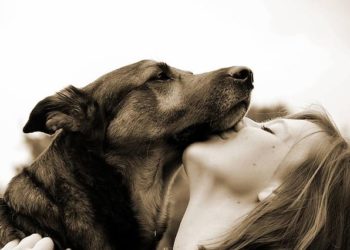 Bridging the Canine and Human Communication Gap