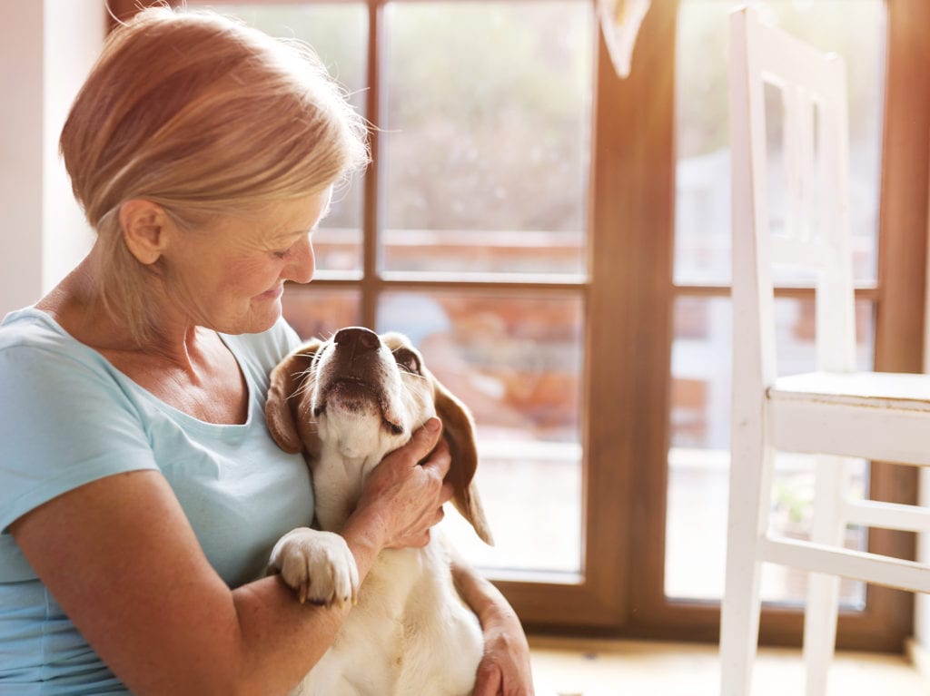 5 Quick and Easy Ways to Have a Better Behaved Dog