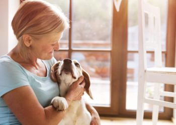 5 Quick and Easy Ways to Have a Better Behaved Dog