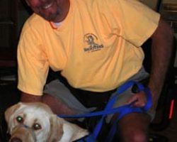 Louie trains to become an assistance dog